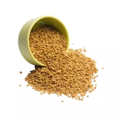 Fenugreek