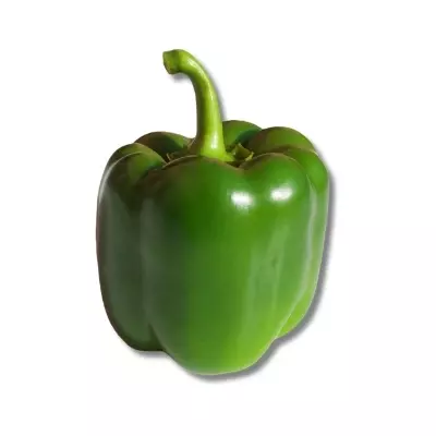 Green Pepper